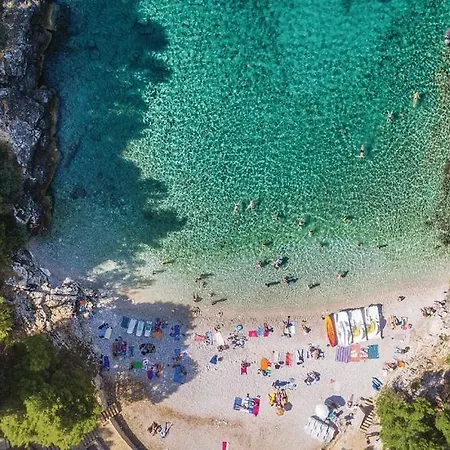 Vacation With Pool Apartament